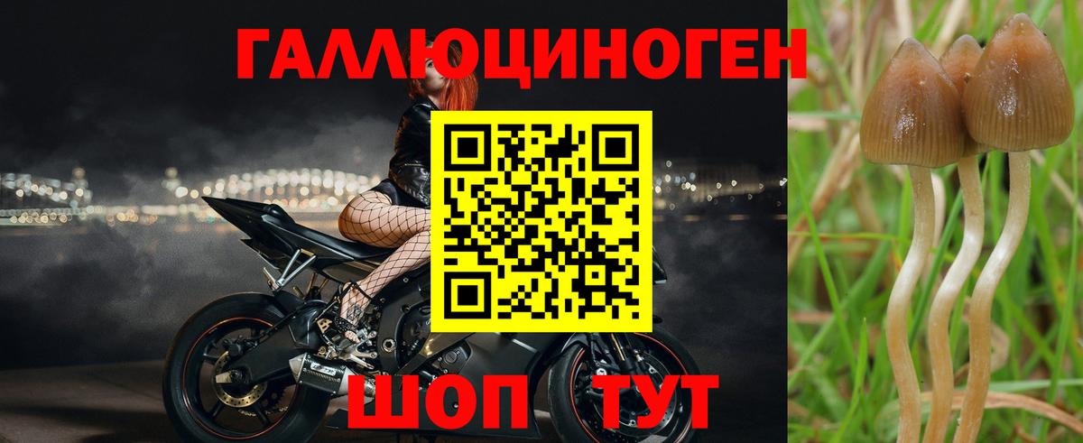 Псилоцибиновые грибы мухоморы  Галлюциногенные грибы Psilocybe  Вход с VPN  Бутурлиновка 
